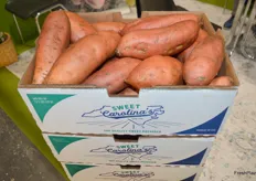 Lancaster Farms, based in North Carolina in the US grow and export these sweet potatoes to Europe that were on display at Fruit Attraction.